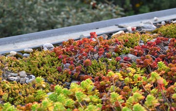 the cost of Blackwall green roof installation
