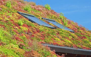 Blackwall living roof systems