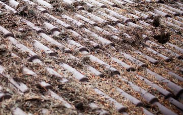 Blackwall roof cleaning companies