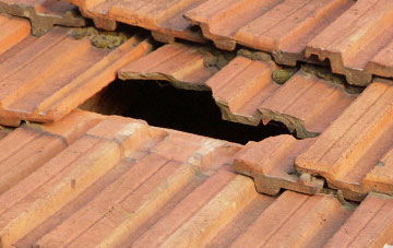 roof repair Blackwall