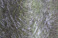 Blackwall fibreglass roof work