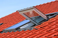 Blackwall roof window