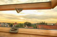 rated Blackwall roof window companies